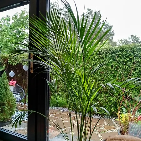 Heavens Embrace - Atelier Pri Slovenskom Raji *